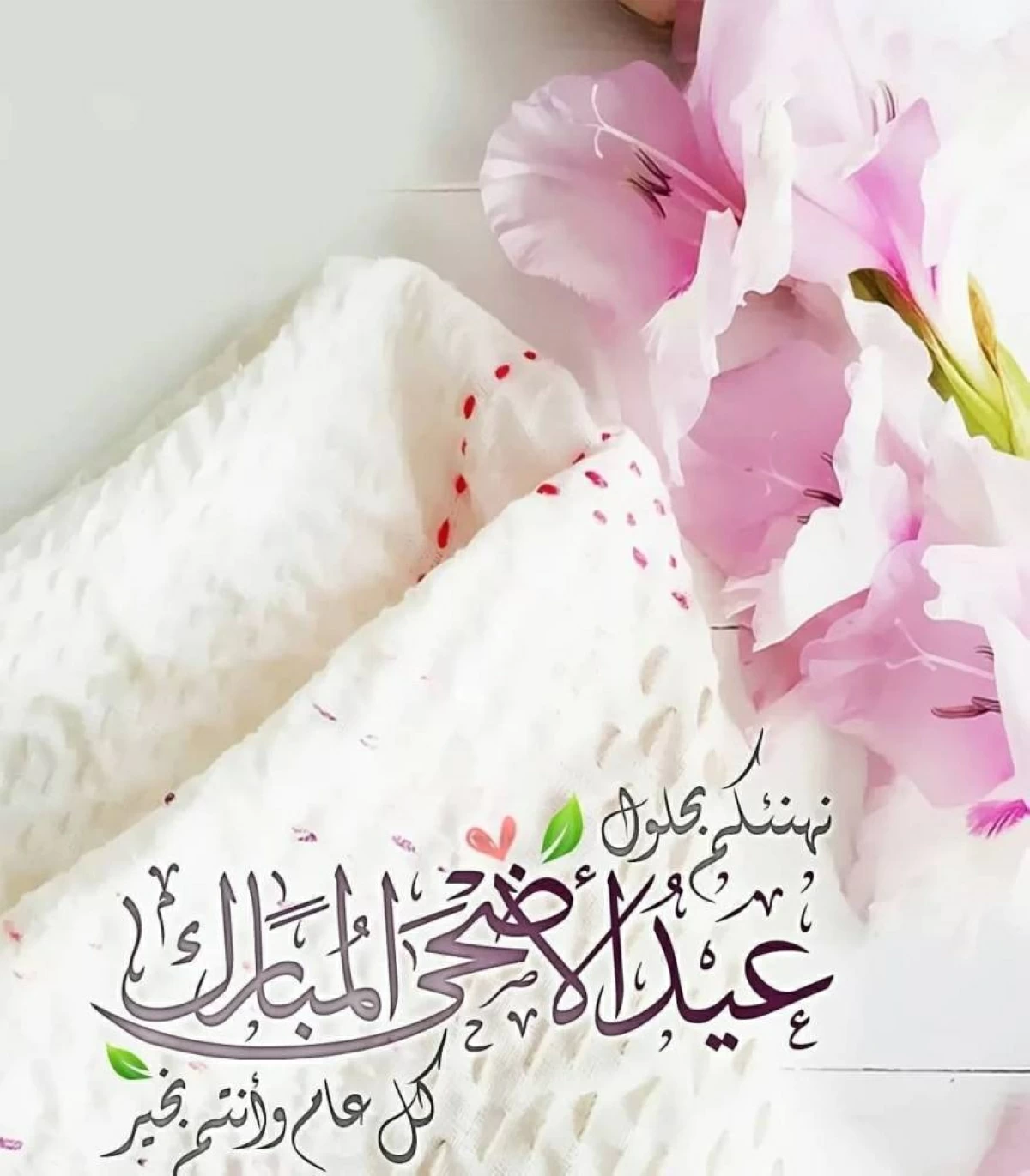 صور تهنئة عيد الأضحى 2026