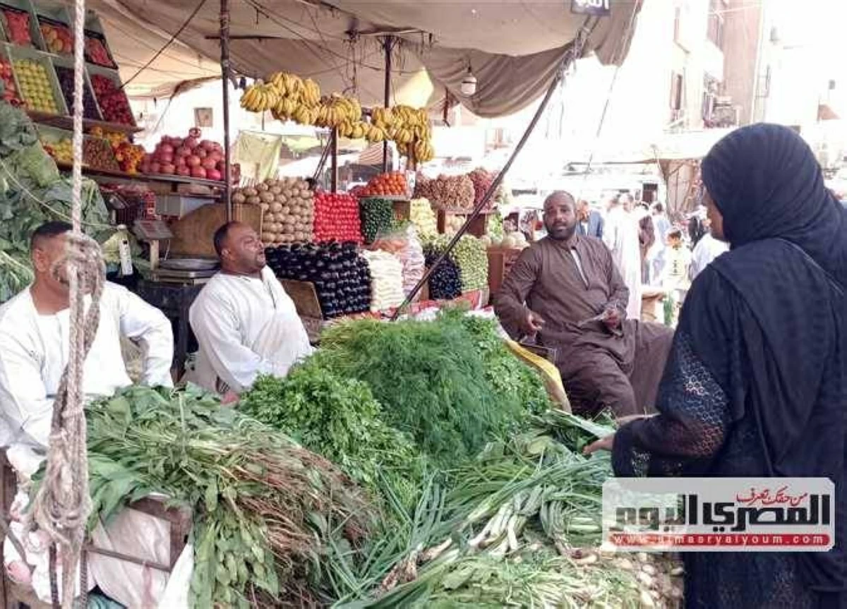 سعر الطماطم والبصل والفاكهة بأسواق الشرقية اليوم الثلاثاء 16 يونيو 2026