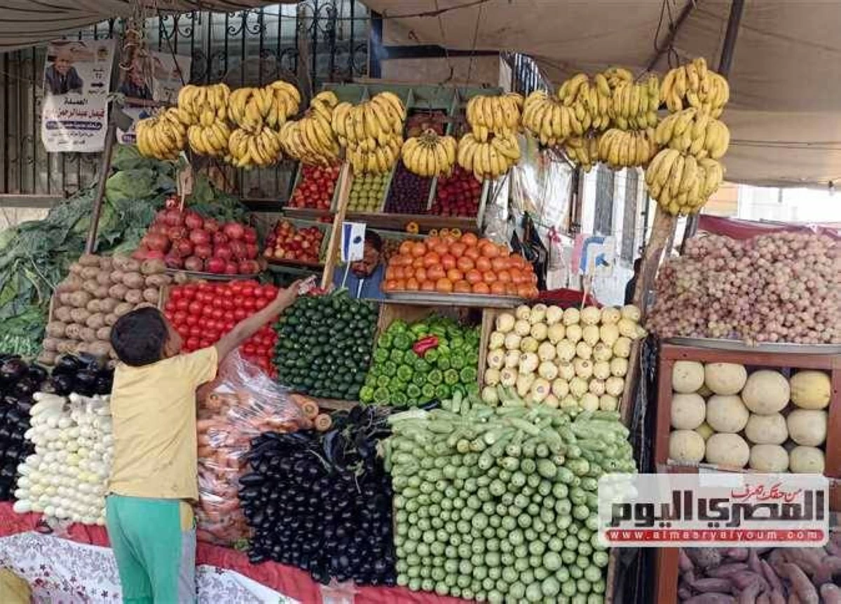 سعر الطماطم والبصل والفاكهة بأسواق الشرقية اليوم الثلاثاء 16 يونيو 2026