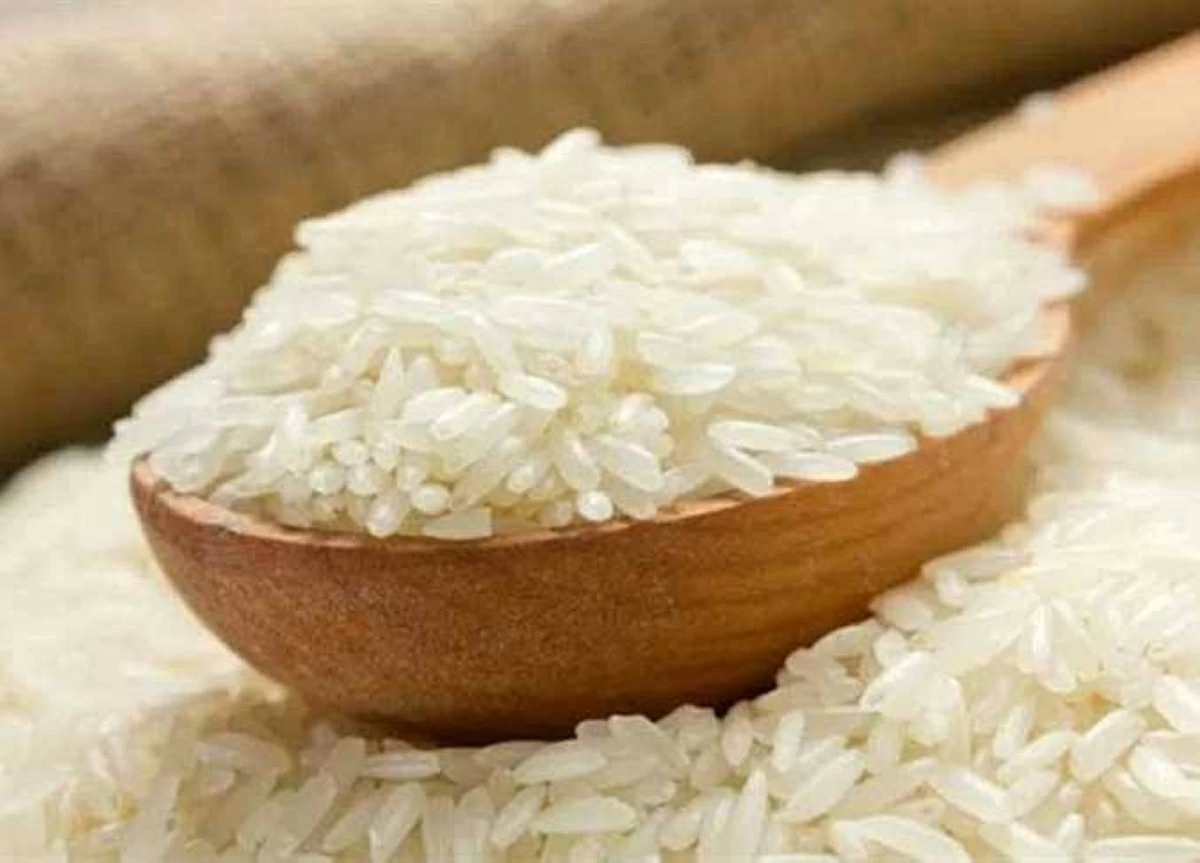 طن الشعير الآن.. سعر الأرز «عريض ورفيع الحبة» بأسواق الشرقية اليوم الثلاثاء 16-6-2026
