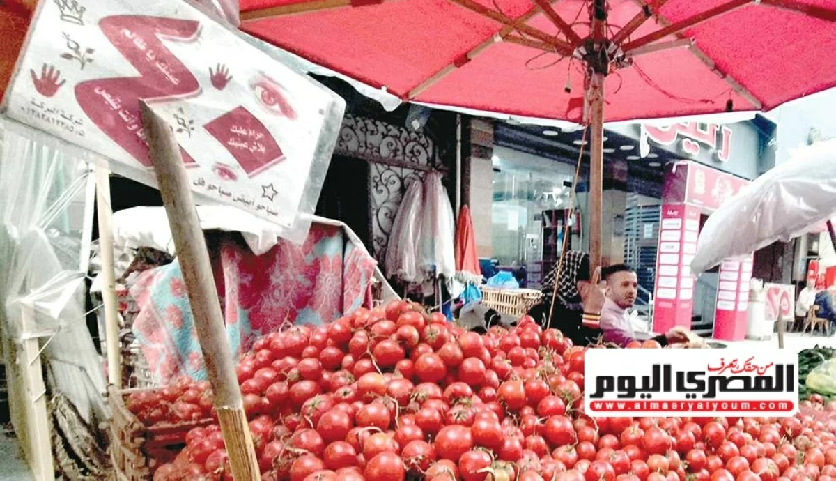 أسعار الخضروات تشهد تفاوتًا ملحوظًا فى الأسعار - صورة أرشيفية