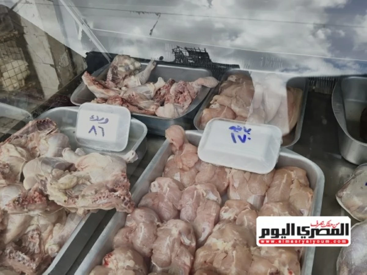 أسعار الفراخ اليوم في أسواق الإسكندرية - صورة أرشيفية