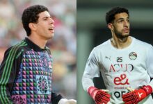 مصطفى شوبير - أحمد شوبير