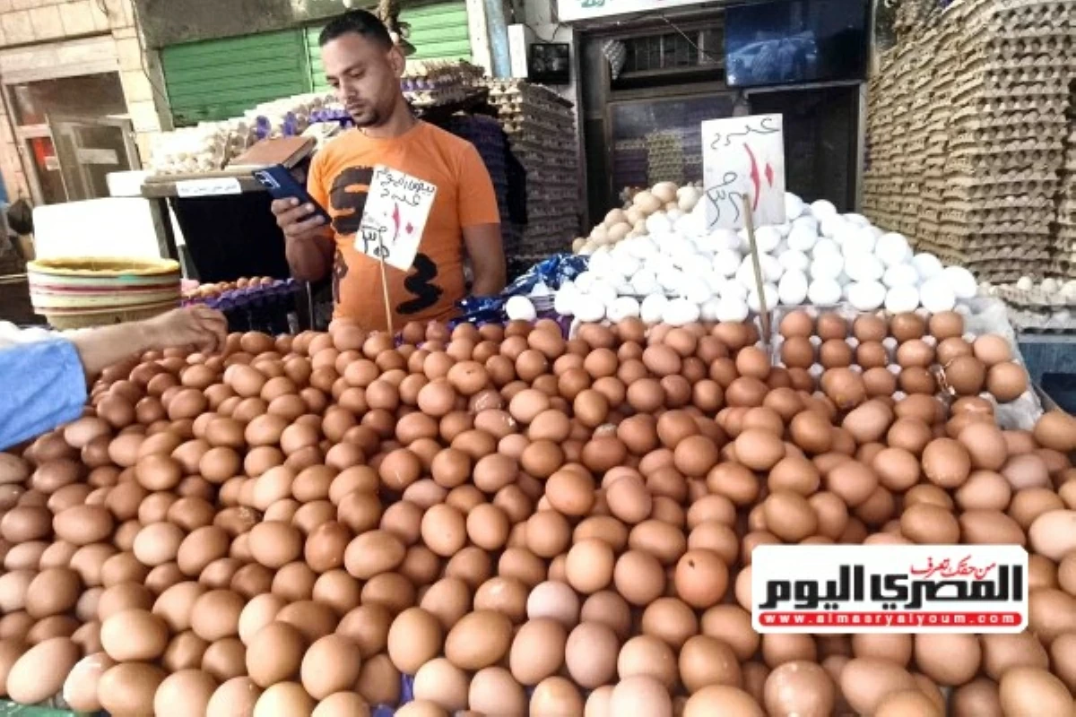 ارتفاع نسبى فى أسعار البيض فى أسواق الإسكندرية
