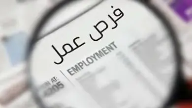 عرض عمل جديد في أبوظبي براتب أعلى.. هل الانتقال من وظيفة حكومية بالشارقة قرار مناسب؟ 10 وظائف للمصريين في الخليج