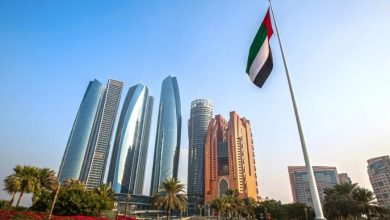 دليل المصريين في الإمارات 2026.. الإقامة والعمل واستقدام الأسرة ورخصة القيادة 31 الإماارت