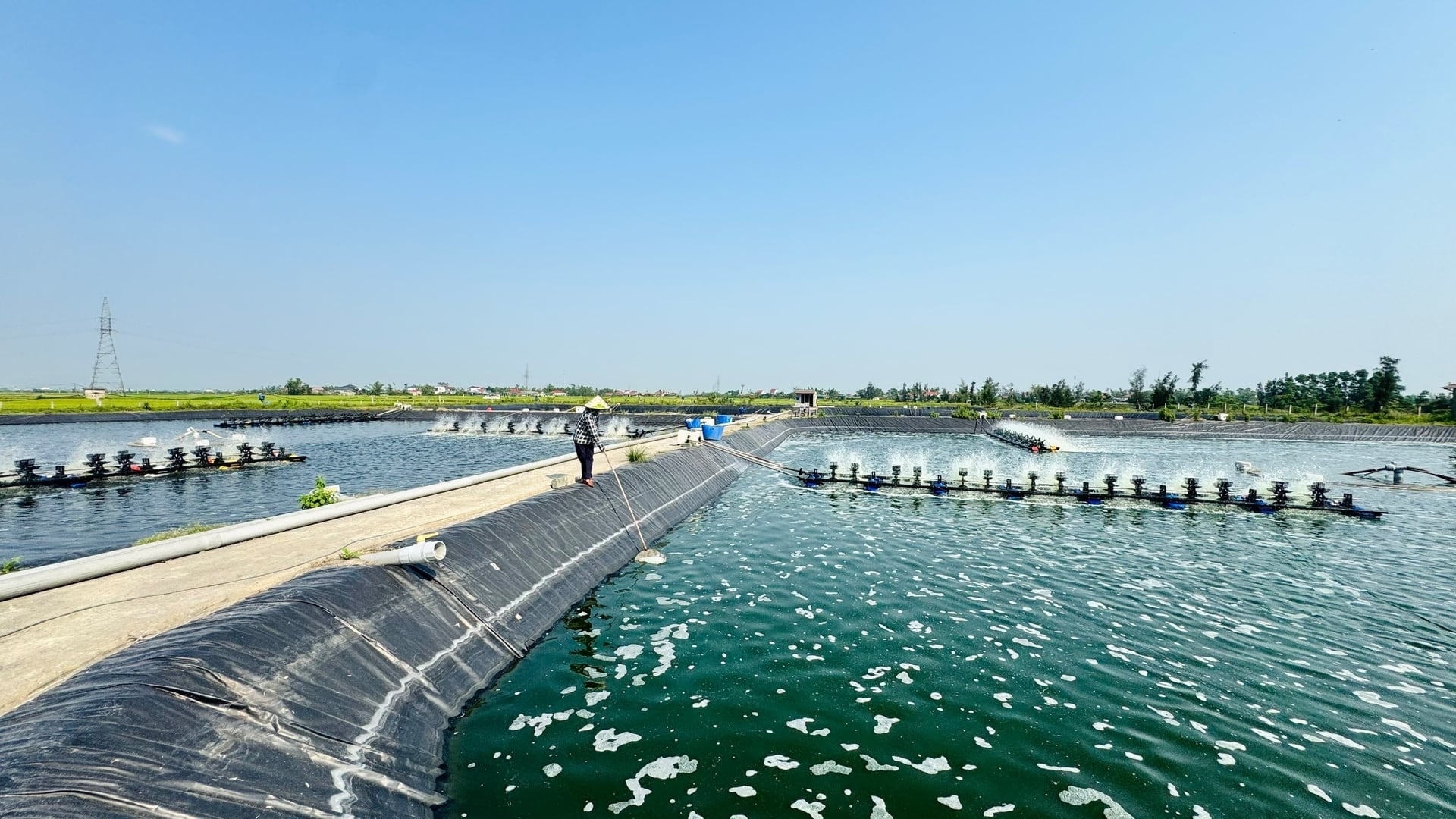 Người nuôi thủy sản Hà Tĩnh tăng cường quản lý môi trường ao nuôi, chủ động phòng ngừa dịch bệnh trong mùa nắng nóng. Ảnh: Ánh Nguyệt.